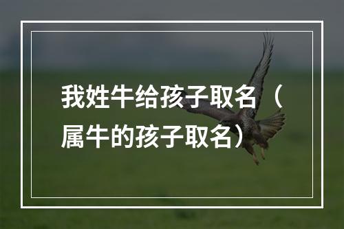 我姓牛给孩子取名（属牛的孩子取名）