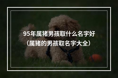 95年属猪男孩取什么名字好（属猪的男孩取名字大全）