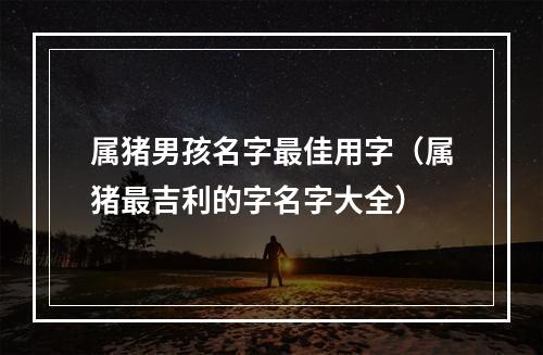属猪男孩名字最佳用字（属猪最吉利的字名字大全）