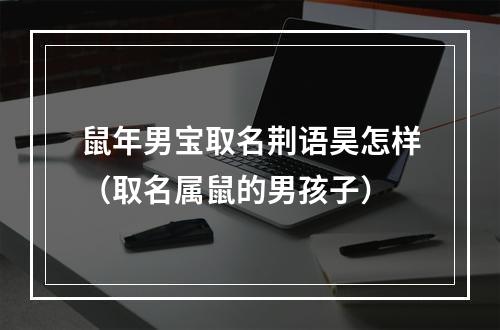 鼠年男宝取名荆语昊怎样（取名属鼠的男孩子）