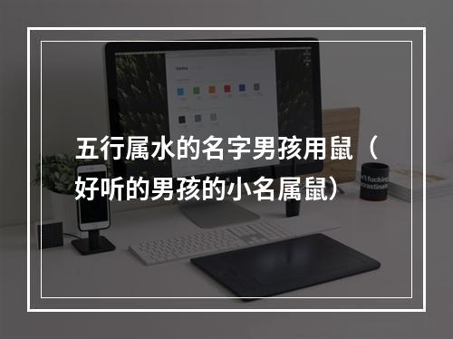 五行属水的名字男孩用鼠（好听的男孩的小名属鼠）