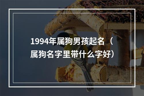 1994年属狗男孩起名（属狗名字里带什么字好）