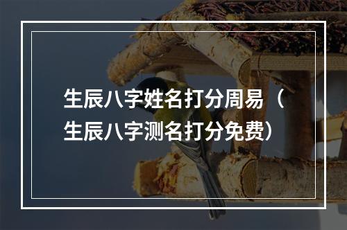生辰八字姓名打分周易（生辰八字测名打分免费）