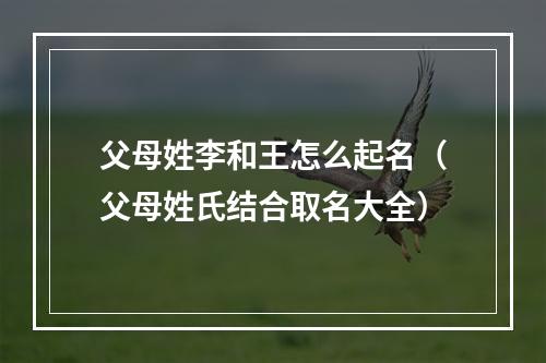 父母姓李和王怎么起名（父母姓氏结合取名大全）