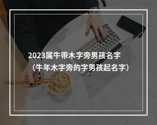 2023属牛带木字旁男孩名字（牛年木字旁的字男孩起名字）