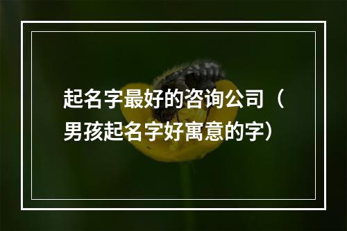 起名字最好的咨询公司（男孩起名字好寓意的字）