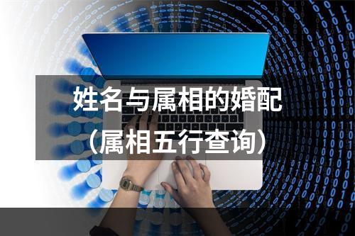 姓名与属相的婚配（属相五行查询）