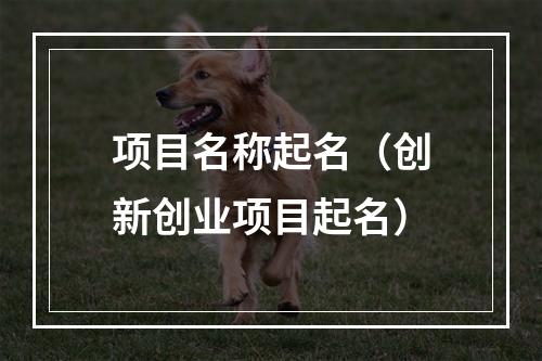 项目名称起名（创新创业项目起名）