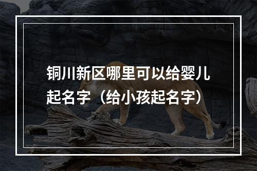 铜川新区哪里可以给婴儿起名字（给小孩起名字）