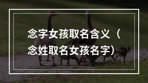 念字女孩取名含义（念姓取名女孩名字）