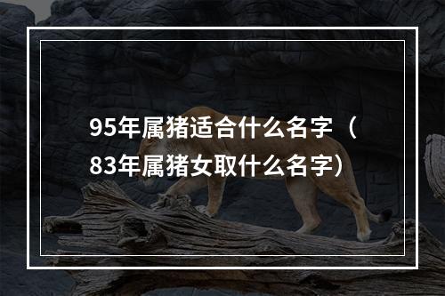 95年属猪适合什么名字（83年属猪女取什么名字）