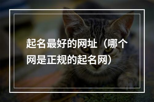起名最好的网址（哪个网是正规的起名网）