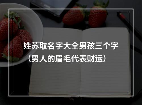 姓苏取名字大全男孩三个字（男人的眉毛代表财运）