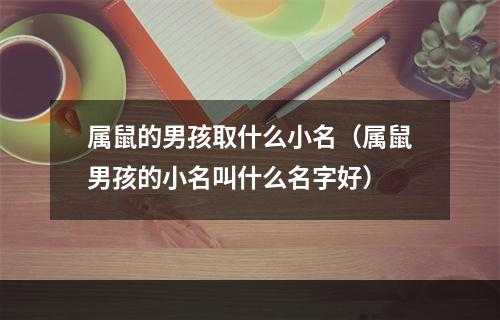 属鼠的男孩取什么小名（属鼠男孩的小名叫什么名字好）