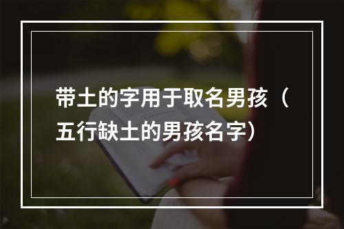 带土的字用于取名男孩（五行缺土的男孩名字）