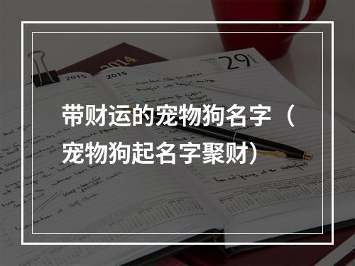 带财运的宠物狗名字（宠物狗起名字聚财）