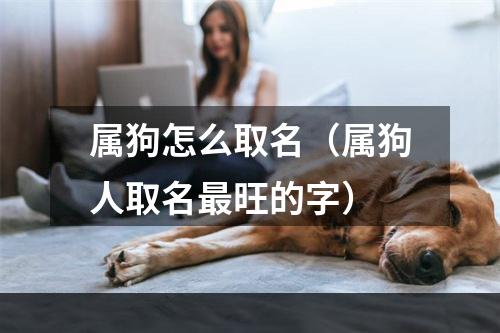 属狗怎么取名（属狗人取名最旺的字）