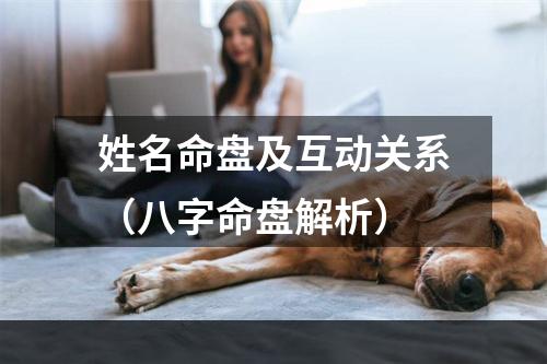 姓名命盘及互动关系（八字命盘解析）
