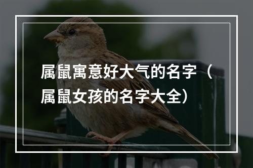 属鼠寓意好大气的名字（属鼠女孩的名字大全）