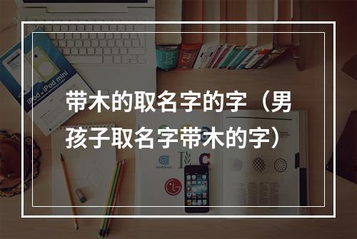 带木的取名字的字（男孩子取名字带木的字）