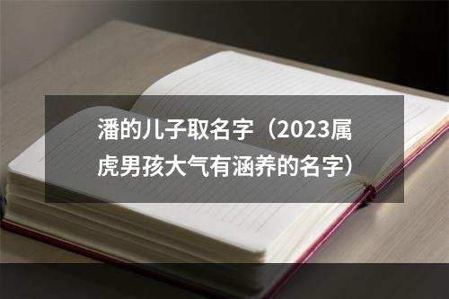 潘的儿子取名字（2023属虎男孩大气有涵养的名字）