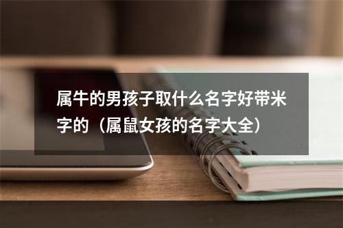 属牛的男孩子取什么名字好带米字的（属鼠女孩的名字大全）