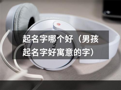 起名字哪个好（男孩起名字好寓意的字）