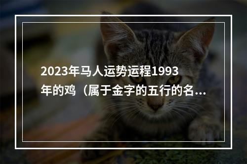 2023年马人运势运程1993年的鸡（属于金字的五行的名字）