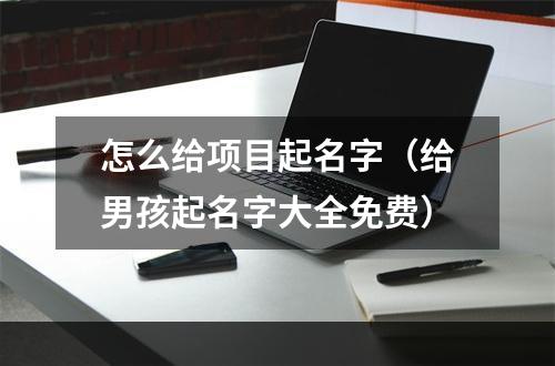 怎么给项目起名字（给男孩起名字大全免费）