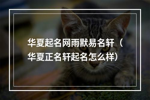 华夏起名网雨默易名轩（华夏正名轩起名怎么样）