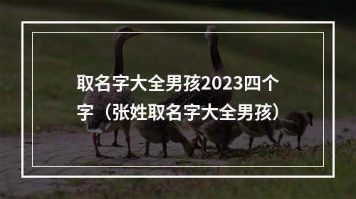 取名字大全男孩2023四个字（张姓取名字大全男孩）
