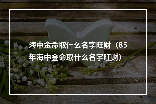 海中金命取什么名字旺财（85年海中金命取什么名字旺财）
