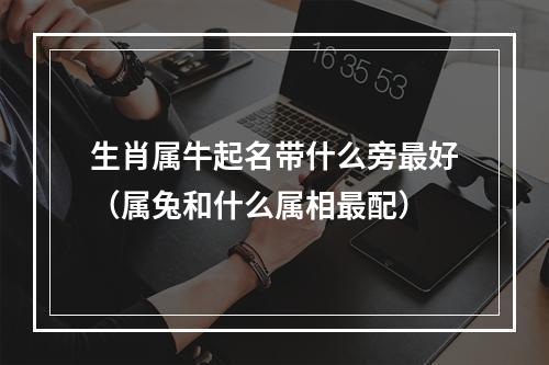 生肖属牛起名带什么旁最好（属兔和什么属相最配）