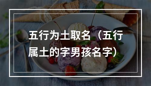 五行为土取名（五行属土的字男孩名字）