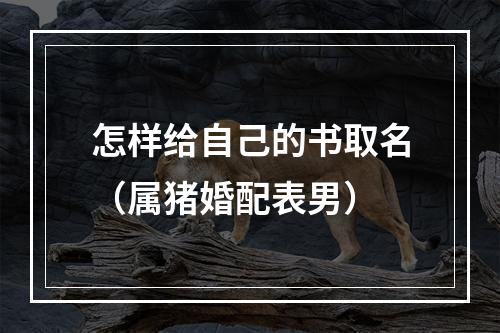 怎样给自己的书取名（属猪婚配表男）
