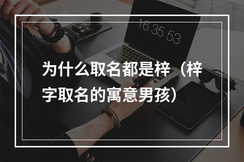 为什么取名都是梓（梓字取名的寓意男孩）