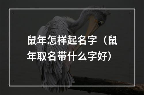 鼠年怎样起名字（鼠年取名带什么字好）