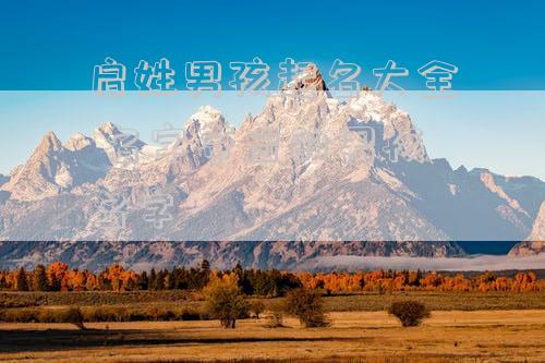 启姓男孩起名大全 名字带启的男孩名字