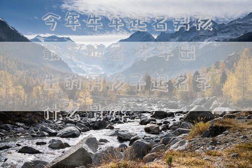 今年牛年起名男孩最好的名 牛年出生的男孩子起名字什么最好