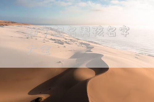 韩字起名男孩名字大全
