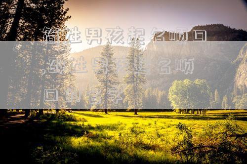 简姓男孩起名顺口,邵姓男孩起名顺口的名字