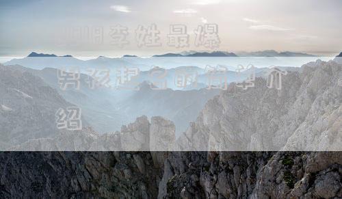 2018李姓最爆男孩起名的简单介绍