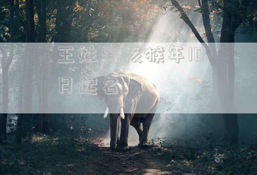 王姓男孩猴年10月起名