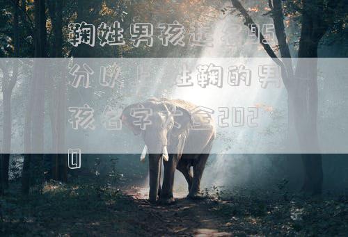 鞠姓男孩起名95分以上 姓鞠的男孩名字大全2020