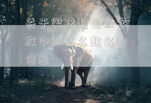 关于男孩起名杰字放中间怎么起名的信息