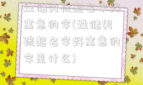 姓储男孩起名字好寓意的字(姓储男孩起名字好寓意的字是什么)