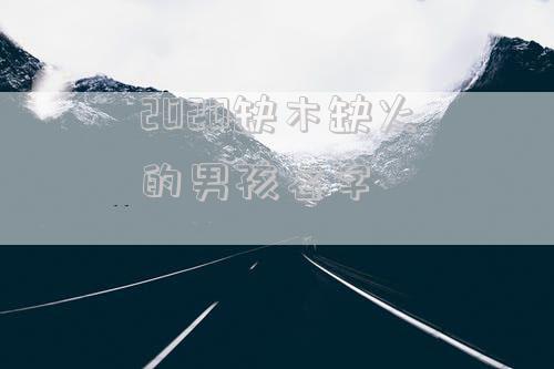 2020缺木缺火的男孩名字