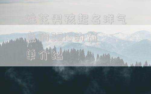 姓花男孩起名洋气点的2018的简单介绍