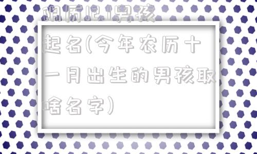 阴历12.1男孩起名(今年农历十一月出生的男孩取啥名字)
