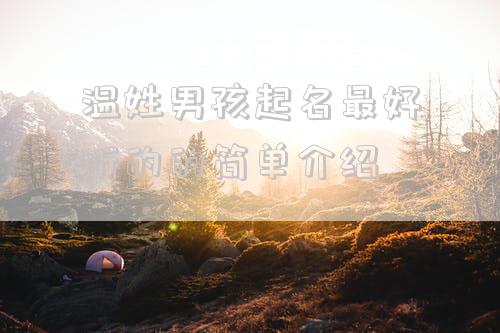 温姓男孩起名最好听的的简单介绍